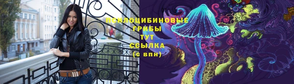 стаф Снежинск